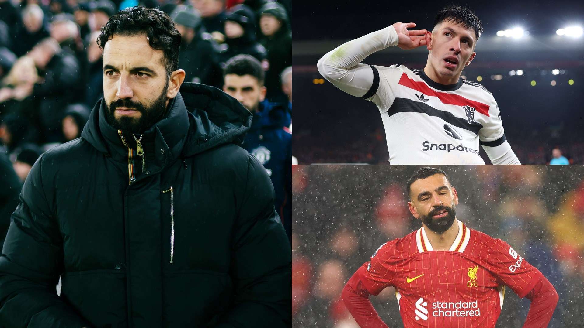 他们不仅贡 他们不仅贡