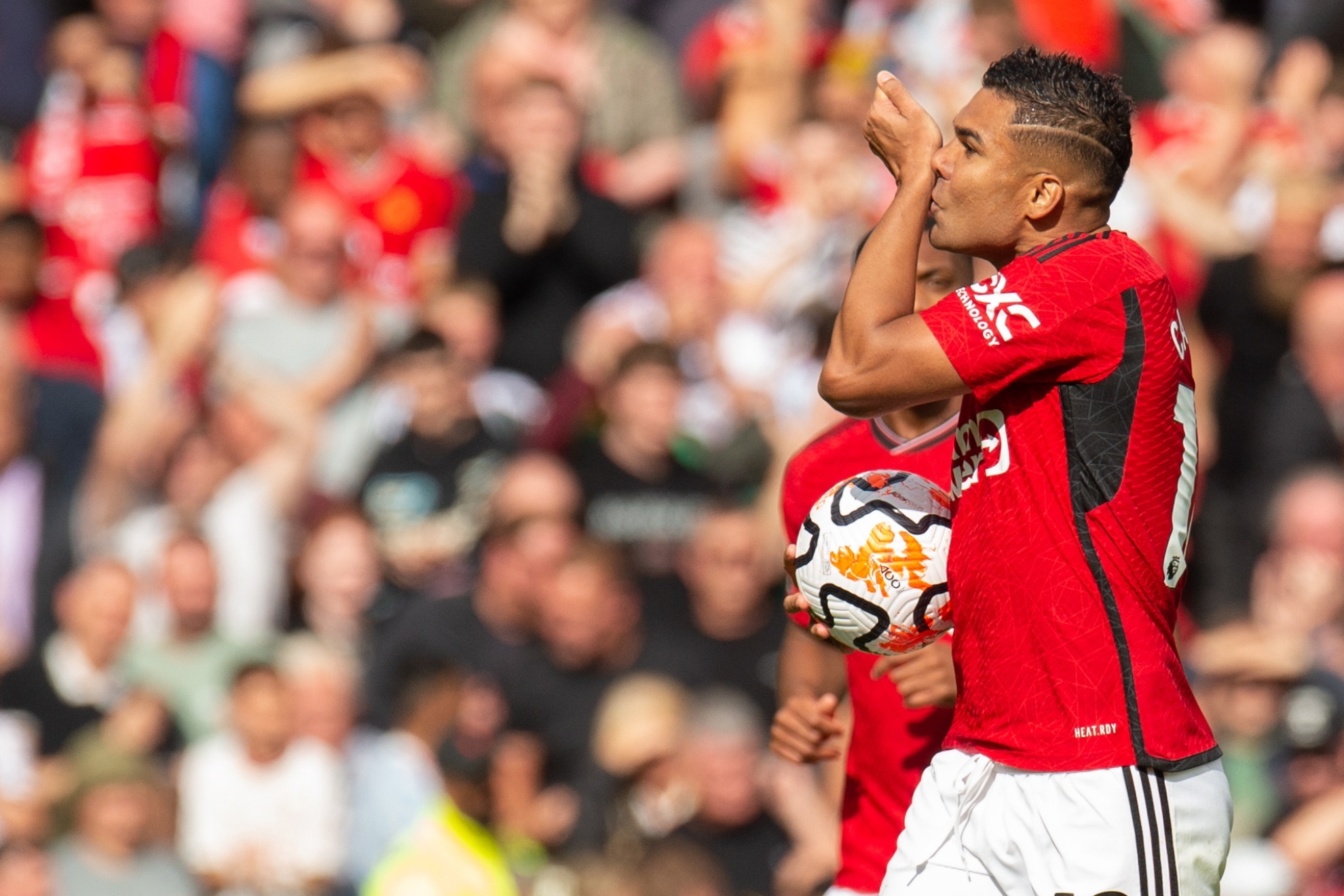 透过扬科维 透过扬科维