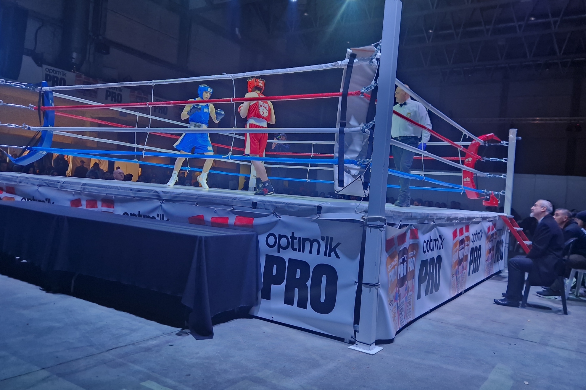 通过此次事 通过此次事