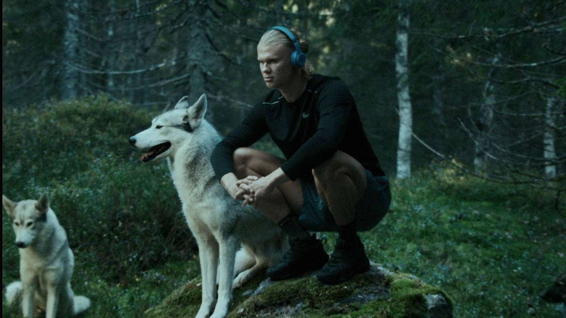 这种经验不 这种经验不